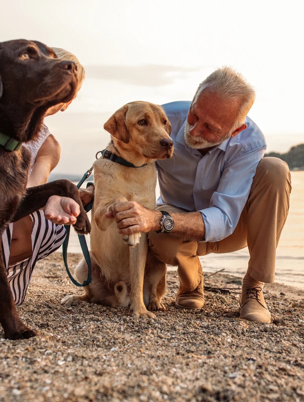 Teach an old dog new tricks